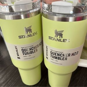 Target Exclusive Stanley 40oz